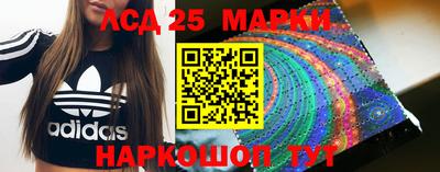 гашик Гатчина