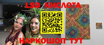 гашик Гатчина