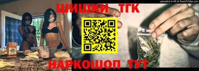 гашик Гатчина