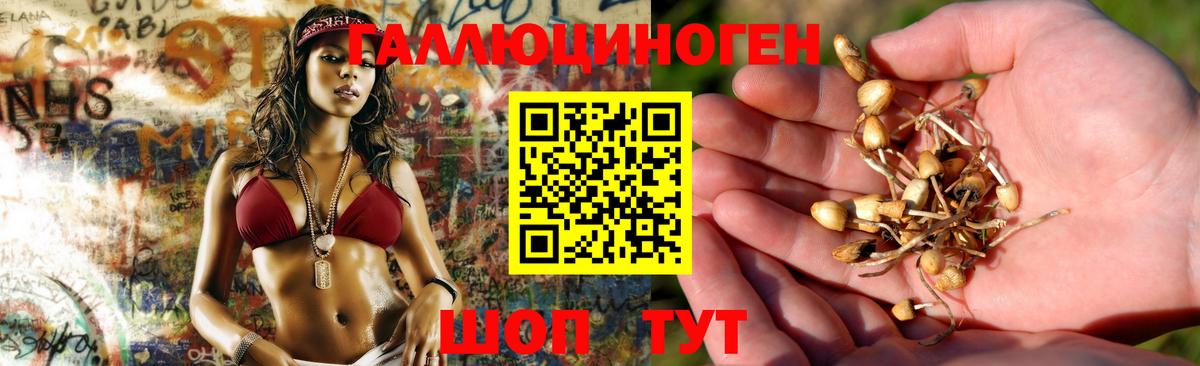 Галлюциногенные грибы мицелий Моздок